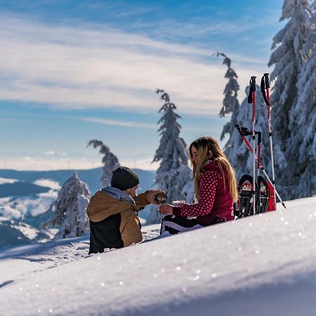 Schwarzwaldhorst 1 Fuer 8 Gaeste In Todtnau, Liftverbund Feldberg Exteriér fotografie