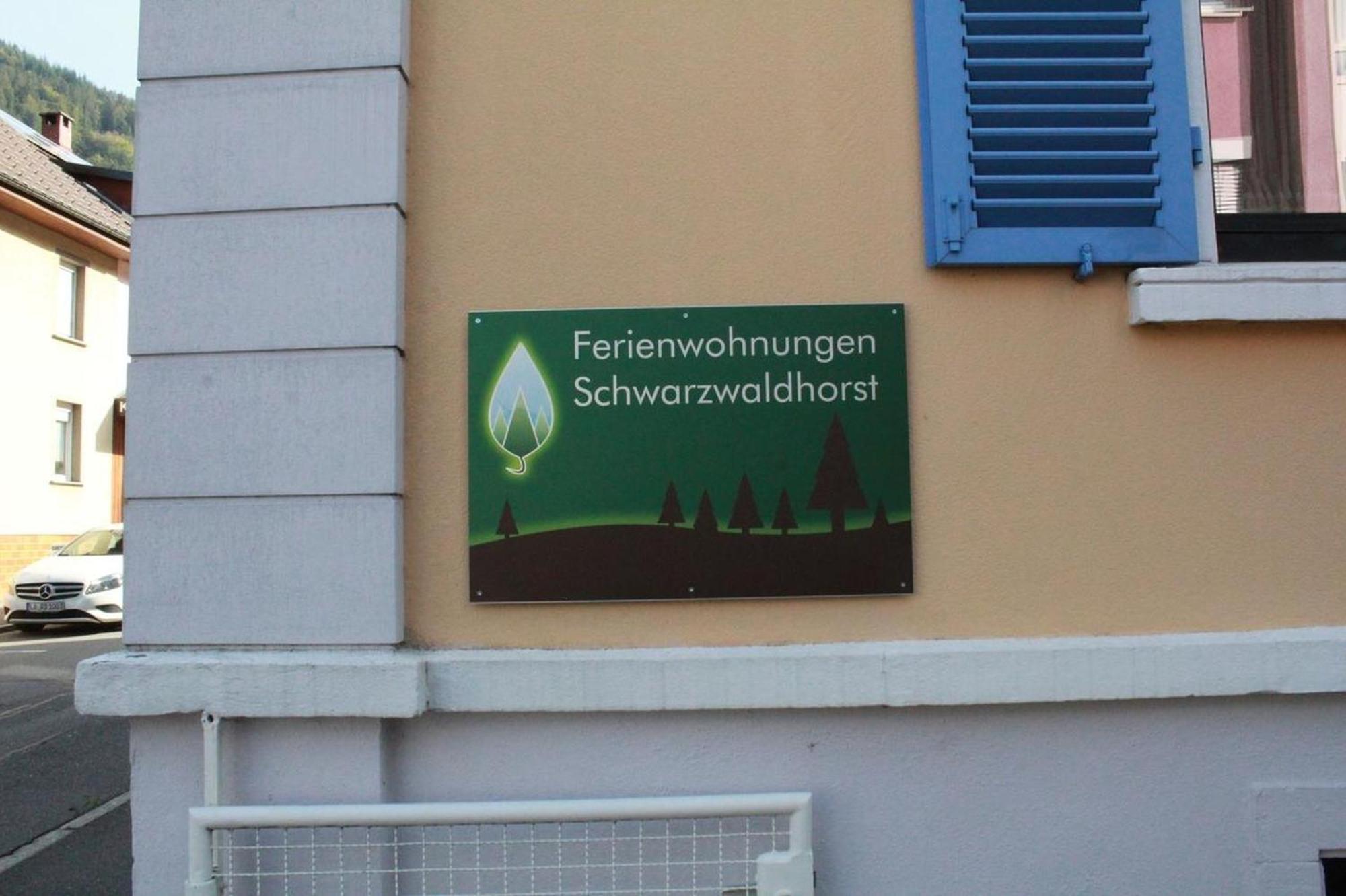 Schwarzwaldhorst 1 Fuer 8 Gaeste In Todtnau, Liftverbund Feldberg Exteriér fotografie