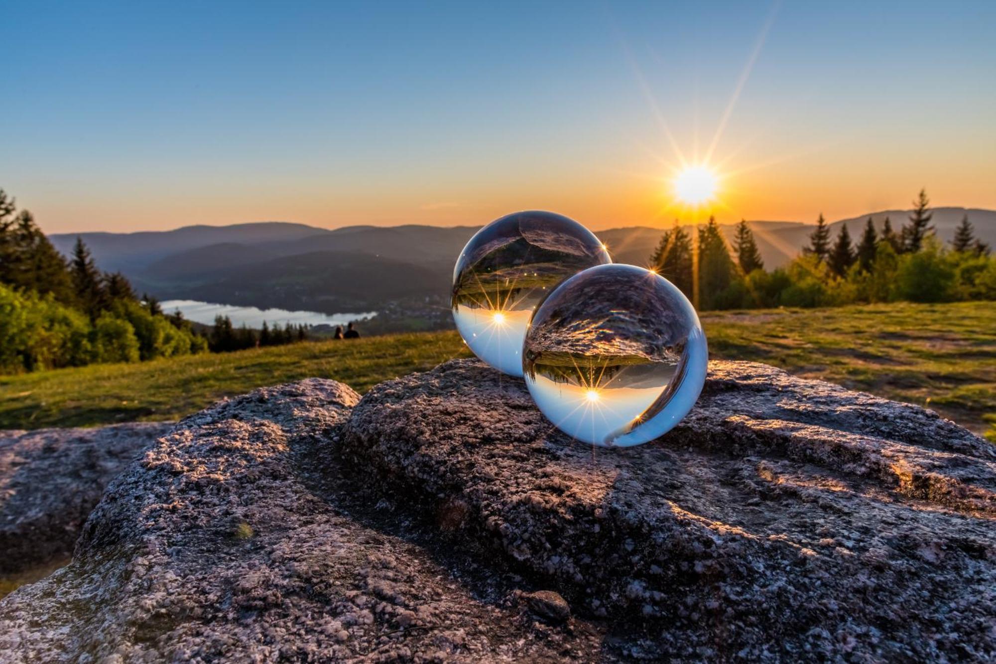 Schwarzwaldhorst 1 Fuer 8 Gaeste In Todtnau, Liftverbund Feldberg Exteriér fotografie