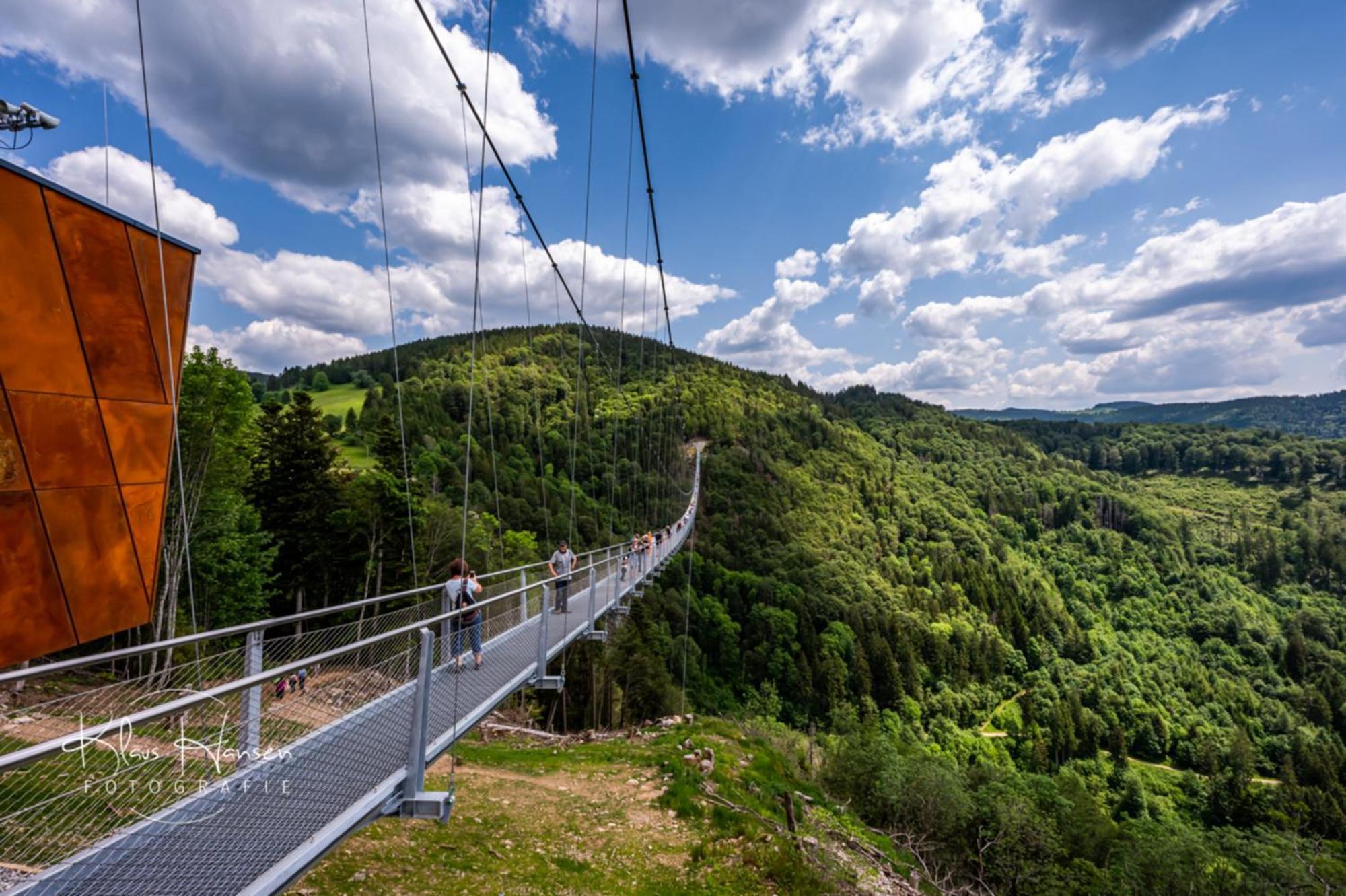 Schwarzwaldhorst 1 Fuer 8 Gaeste In Todtnau, Liftverbund Feldberg Exteriér fotografie