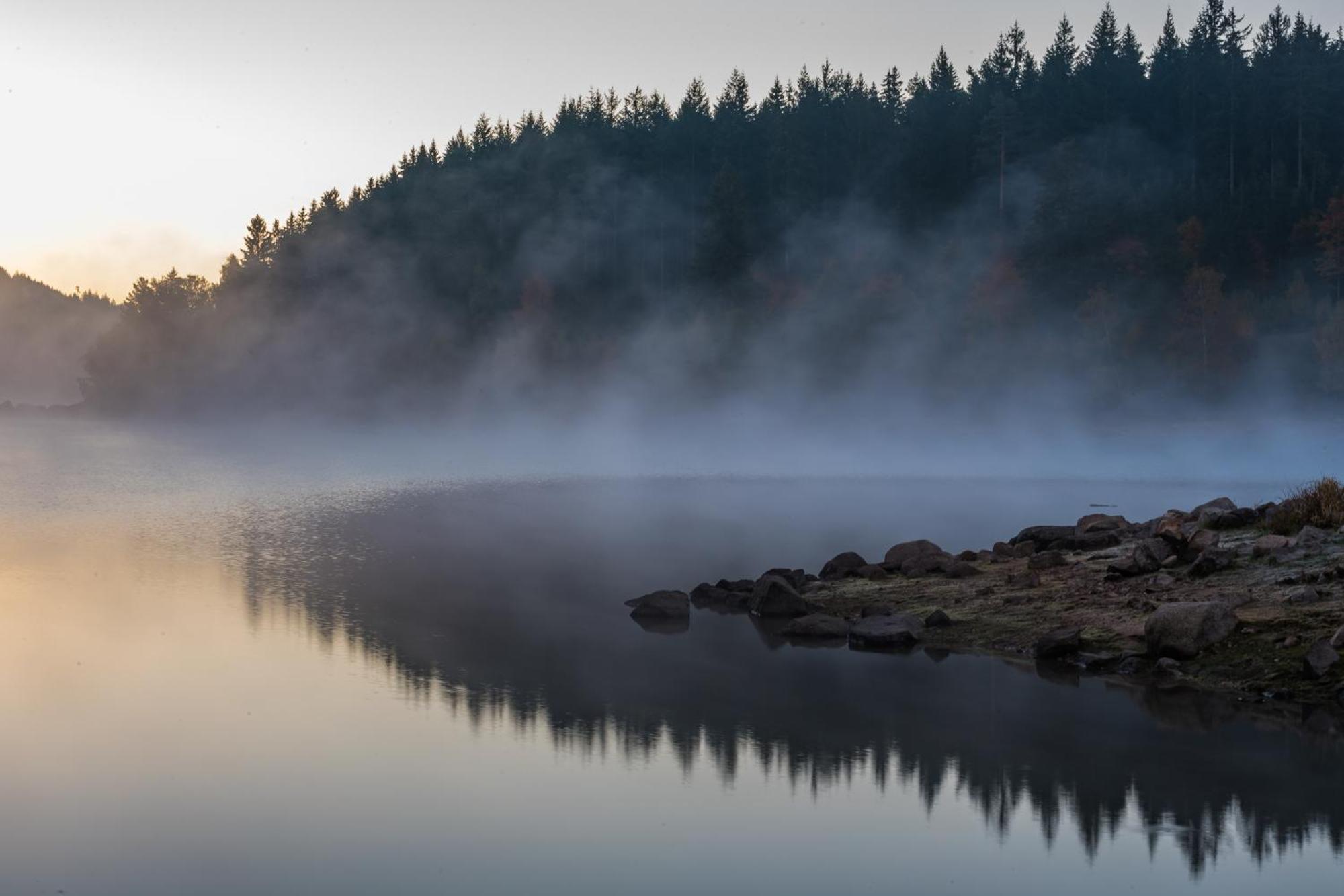 Schwarzwaldhorst 1 Fuer 8 Gaeste In Todtnau, Liftverbund Feldberg Exteriér fotografie